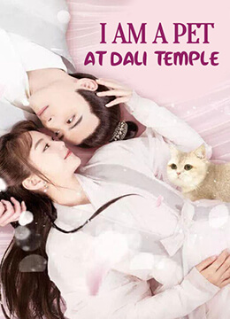 I’m a Pet At Dali Temple