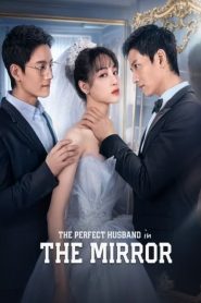 The Perfect Husband In The Mirror